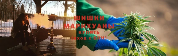 стафф Зеленокумск