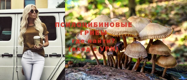 стафф Зеленокумск