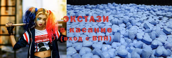 тгк Ельня