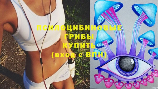 тгк Ельня