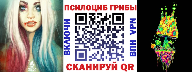 Псилоцибиновые грибы прущие грибы  Чаплыгин 